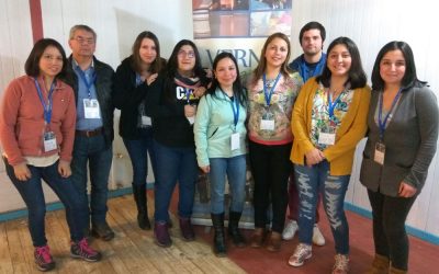 Oficina de Protección a la Infancia de Puerto Montt participa en Taller de  Autocuidado